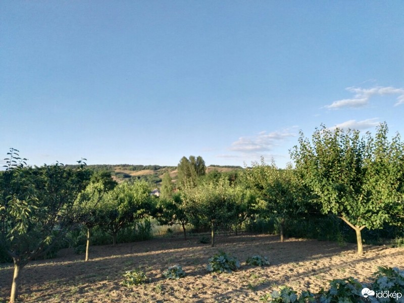 Tényő
