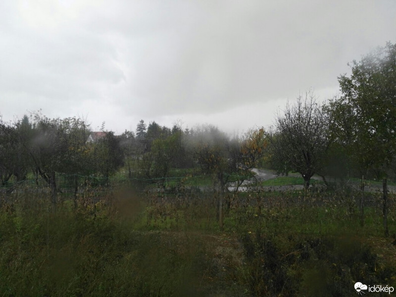 Tényő