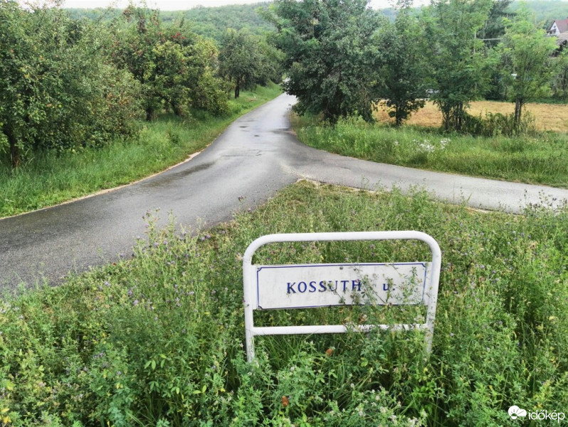 Tényő