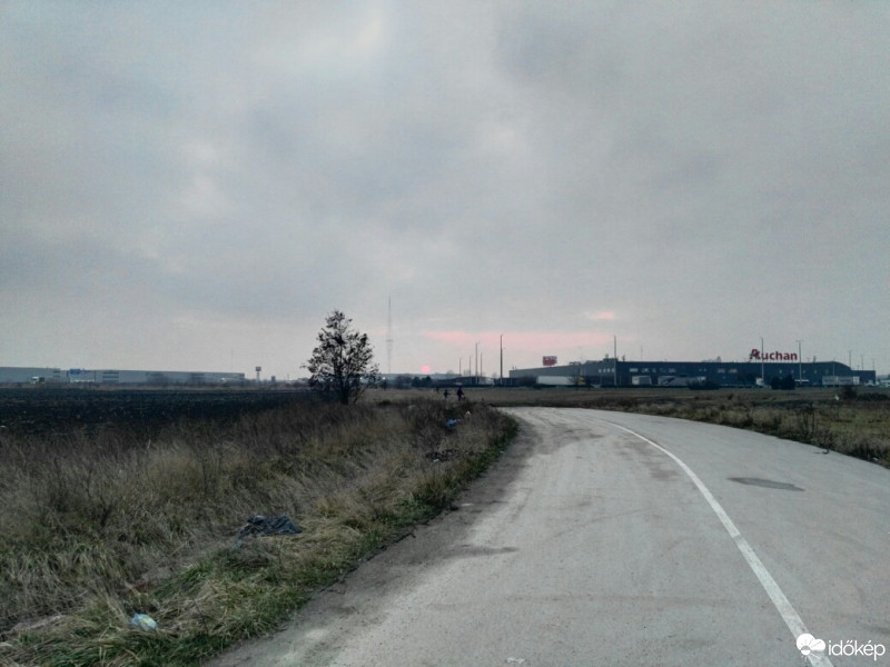 Halásztelek
