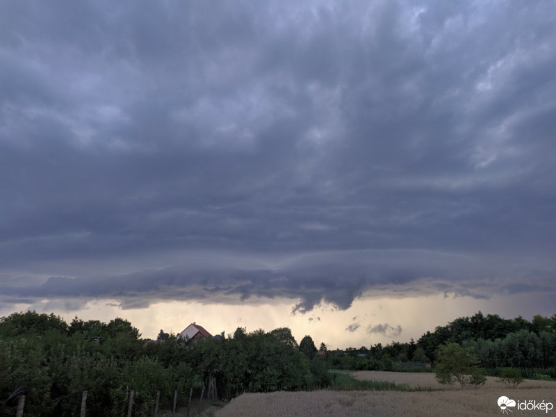 Tényő