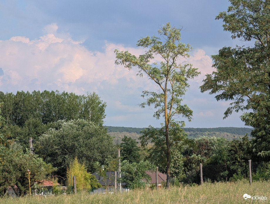 Tényő