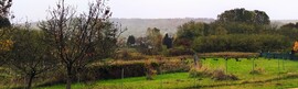 Tényő