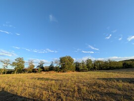 Tényő