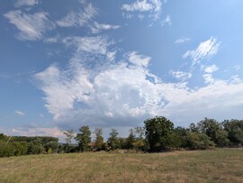 Tényő