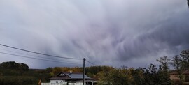 Tényő
