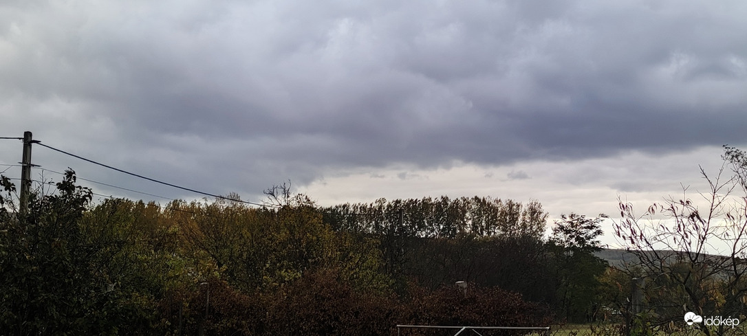 Tényő