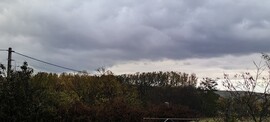 Tényő