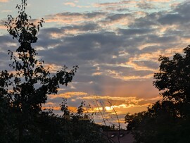 Tényő