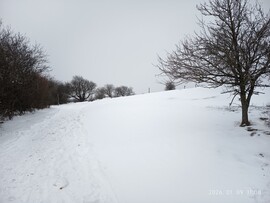 Balatonfüred
