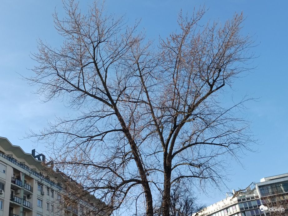 Budapest XI.ker - Szentimreváros