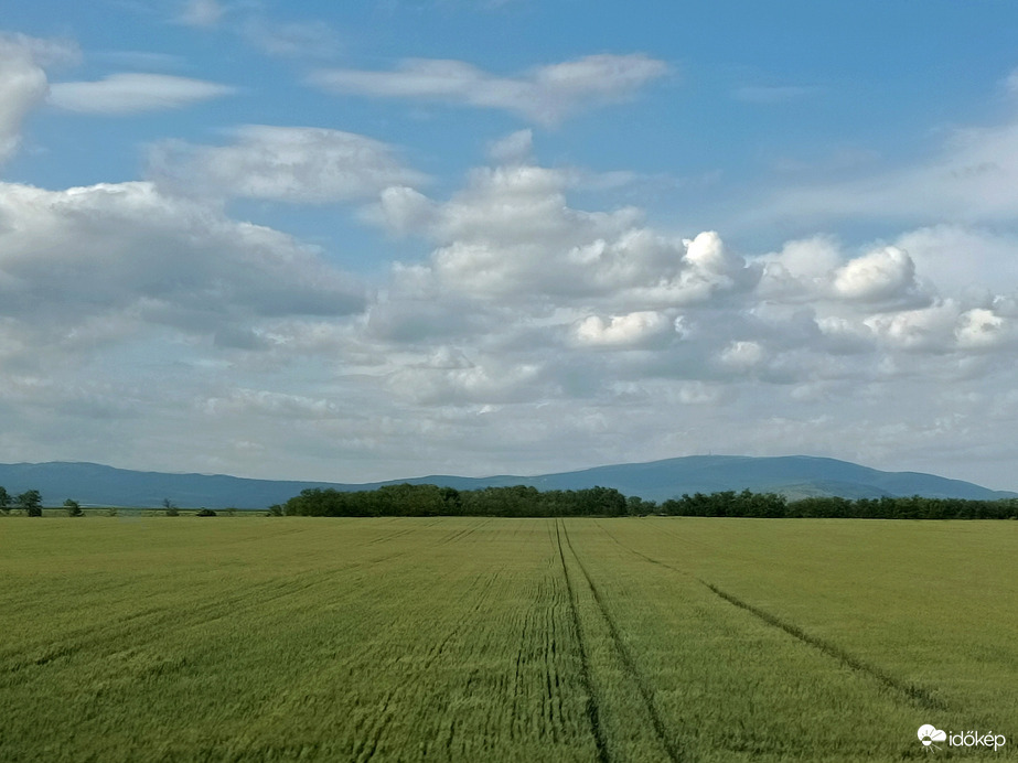 Vámosgyörk