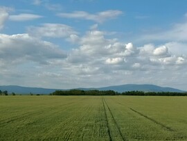 Vámosgyörk