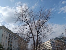 Budapest XI.ker - BME