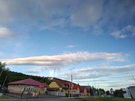 Sülysáp