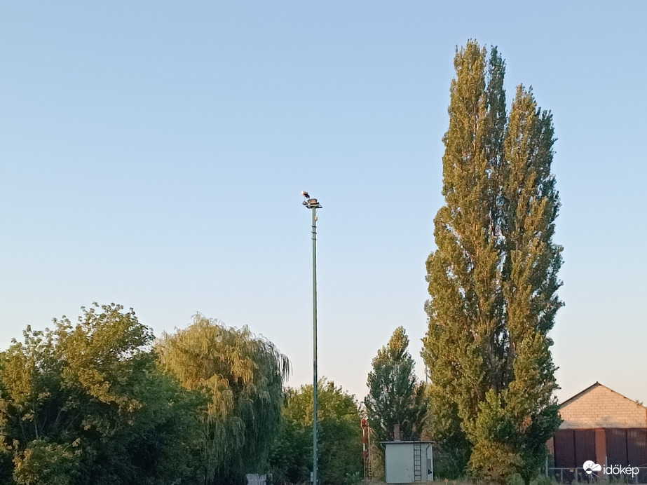 Jászapáti