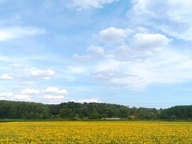 Maklár