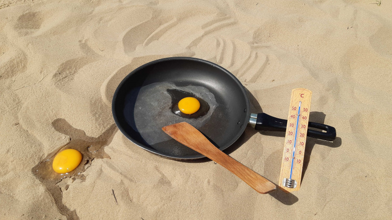 A fülöpházi homokbuckáknál jártunk