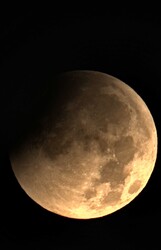 Cegléd
