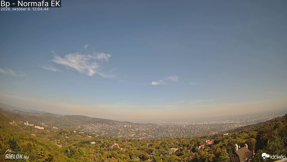 Szmog