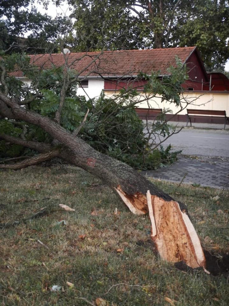 Vihar Berettyóújfaluban (Fotó forrása: Berettyóújfalu itt és most)