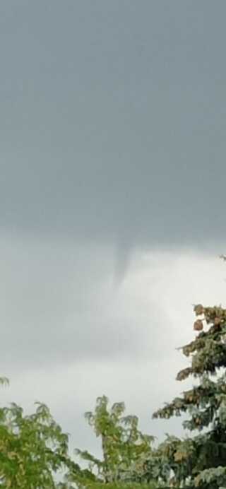 Csirmaz Fanni fotója