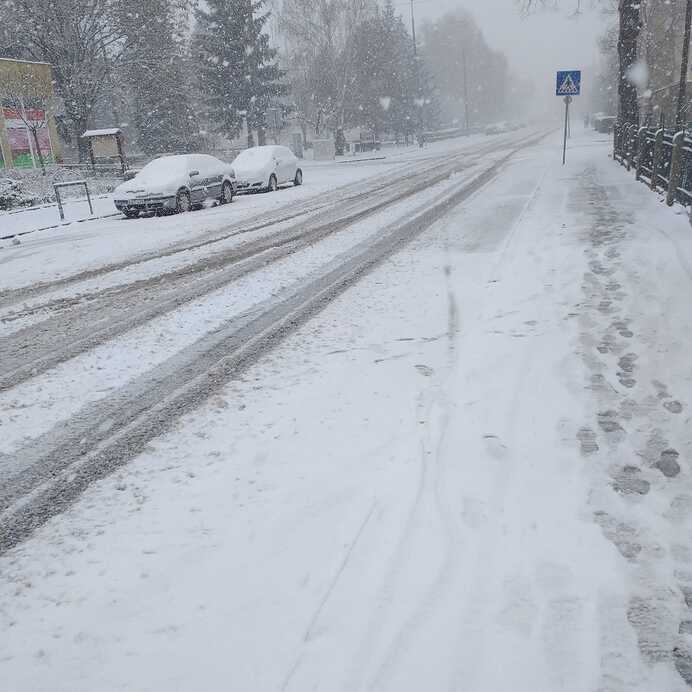 Plaschil Erika fotója