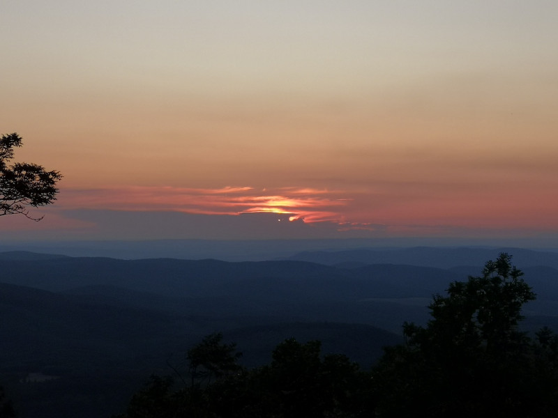 Lenkei Péter fotója (2020.06.24.)
