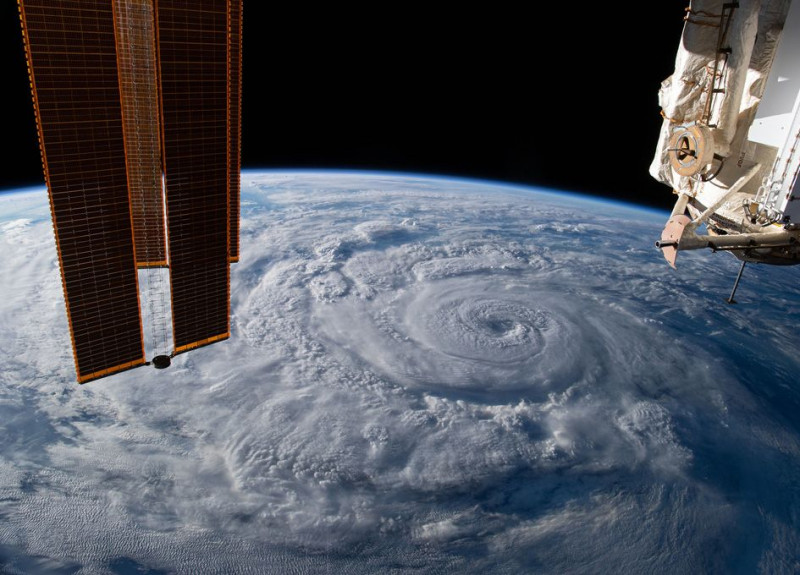 Genevieve hurrikán Forrás: NASA
