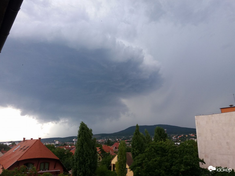 Szajdukné Noémi fotója