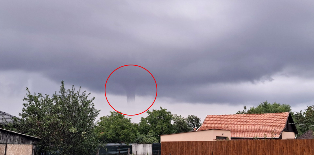 Cséki Gergő fotója