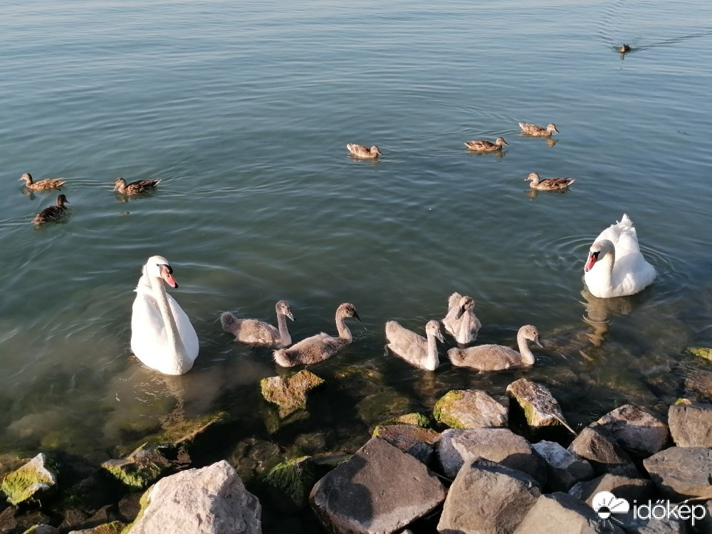 Siófok