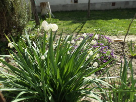 nem tudom mi de szép