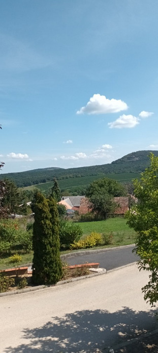 Dunaszentmiklós