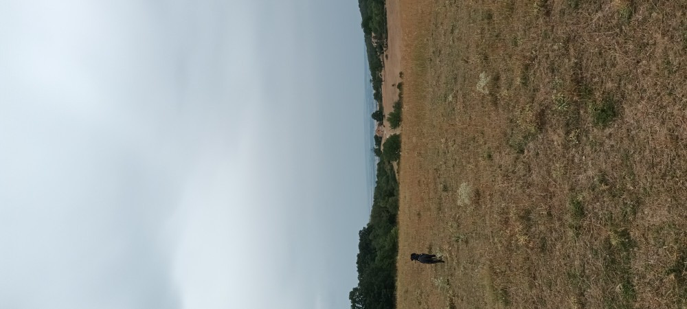 Kravany nad Dunajom