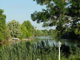 Szarvas