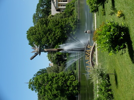 Szarvas