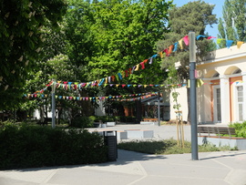 Majális után