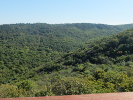 Zalai dombok és erdők