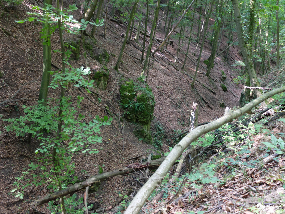 Zalai dombok és erdők