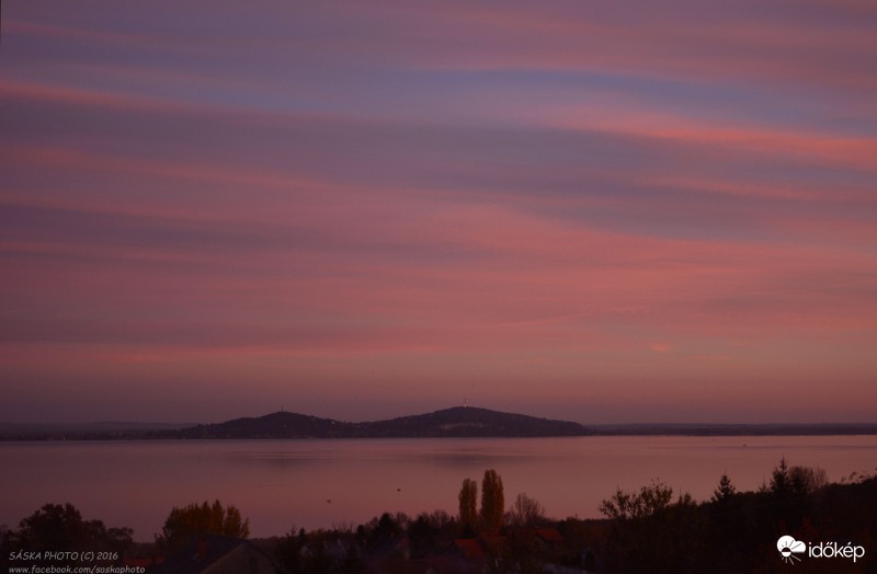 Rózsaszín álmok 1