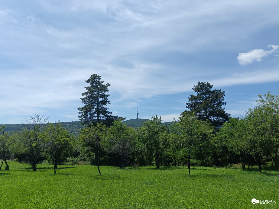 Pécs