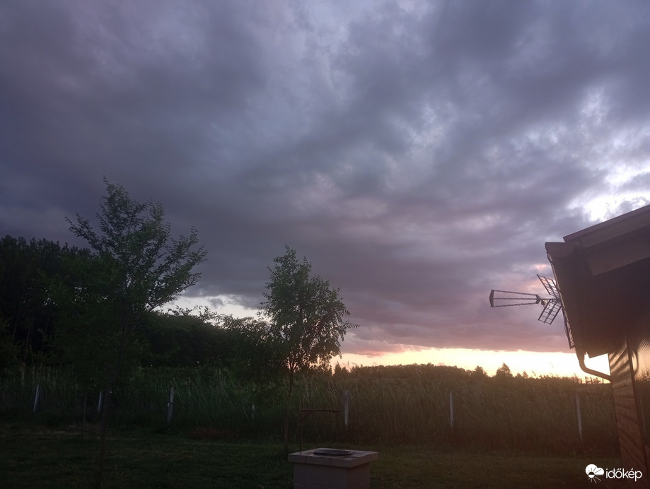 Nyírpazony