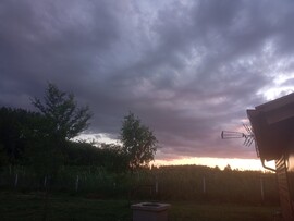 Nyírpazony