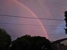 Vihar utáni szépség