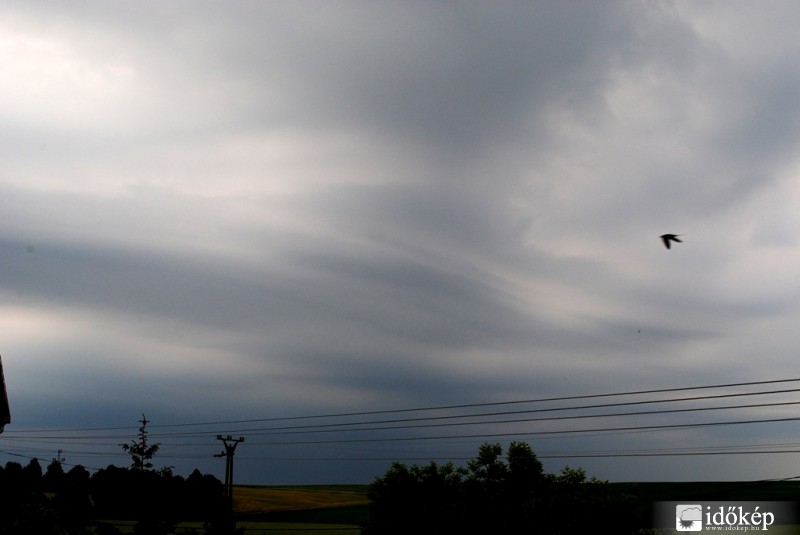 SC gyanús a távolodó cella
