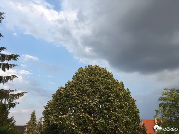 Budapest XV.ker - Pestújhely