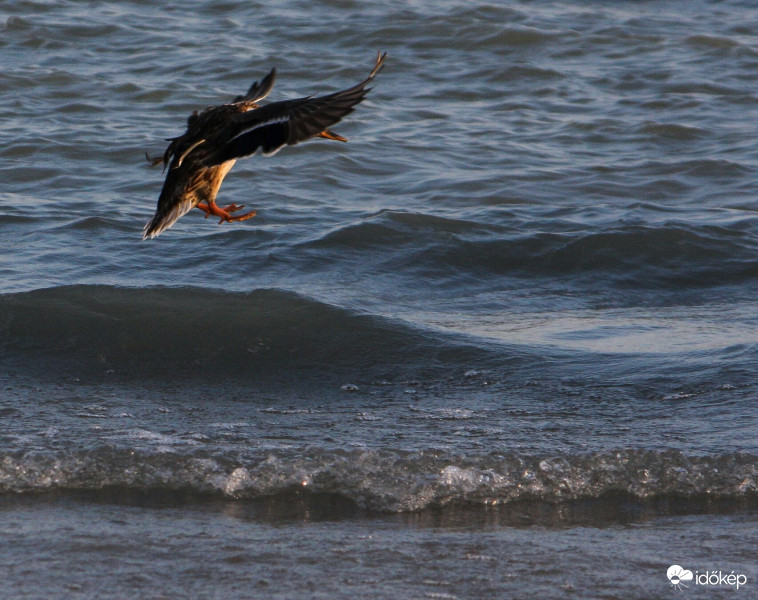 Jáááj de hullámzik!!!