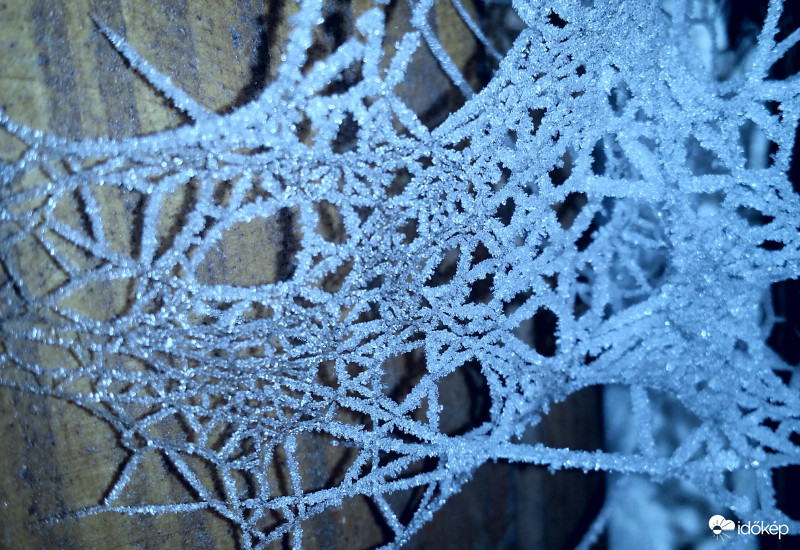 Kiadó téli háló eszkiPóknak...