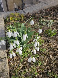 Budapest I.ker - Tabán